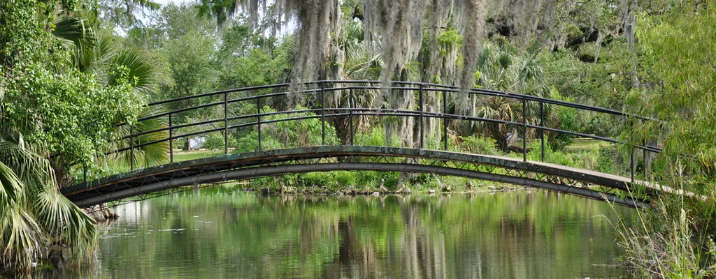 LIVING WALLPAPER | New Orleans Louisiana ( City Park) | Relax , Meditate, Study, Pray or Whateva.