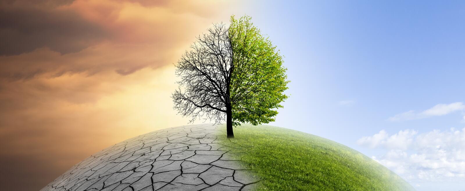 LIFE | Where does all of the carbon we release go?| Global Warming
