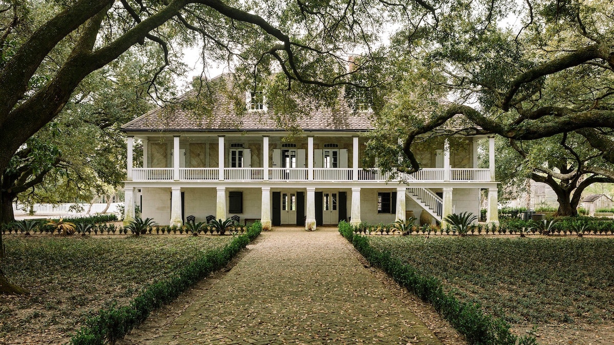 LIVING WALLPAPER | Whitney Plantation Museum